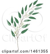 Clipart Of A Green Eucalyptus Branch Royalty Free Vector Illustration