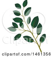 Poster, Art Print Of Green Magnolia Leaf Eucalyptus Branch