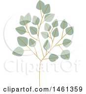 Poster, Art Print Of Silver Dollar Eucalyptus Branch