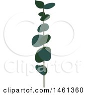 Clipart Of A Green Eucalyptus Branch Royalty Free Vector Illustration