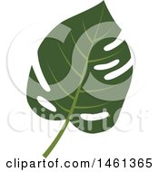 Poster, Art Print Of Split Leaf Philodendron Leaf