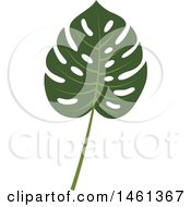 Clipart Of A Split Leaf Philodendron Leaf Royalty Free Vector Illustration