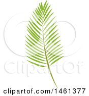 Poster, Art Print Of Green Palm Branch