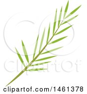 Poster, Art Print Of Green Palm Branch