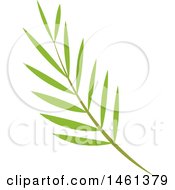 Poster, Art Print Of Green Palm Branch