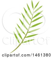 Clipart Of A Green Palm Branch Royalty Free Vector Illustration
