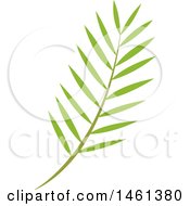 Poster, Art Print Of Green Palm Branch