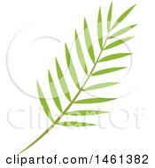 Poster, Art Print Of Green Palm Branch