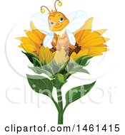 Cute Queen Bee Sitting On A Sunflower
