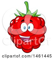 Raspberry Mascot Character