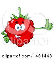Poster, Art Print Of Raspberry Mascot Character Giving A Thumb Up