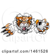 Clipart Of A Vicious Tiger Mascot Slashing Through A Wall With A Soccer Ball Royalty Free Vector Illustration