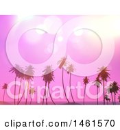 Poster, Art Print Of Pink Sunset Sky Over Tropical Palm Trees