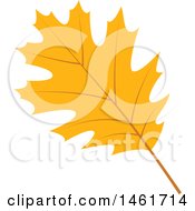 Poster, Art Print Of Autumn Oak Leaf