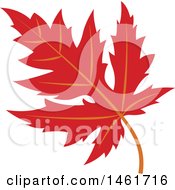 Poster, Art Print Of Red Autumn Maple Leaf