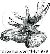 Clipart Of A Sketched Black And White Moose Head In Profile Royalty Free Vector Illustration