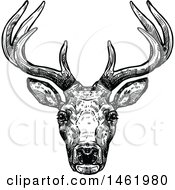 Poster, Art Print Of Sketched Black And White Reindeer Head
