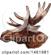 Poster, Art Print Of Sketched Moose Head In Profile