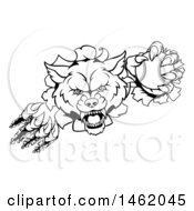 Clipart Of A Black And White Tough Wolf Mascot Breaking Through A Wall And Holding A Baseball Royalty Free Vector Illustration