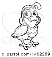Clipart Of A Black And White Quail Bird Royalty Free Vector Illustration