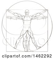 Sketch Of Leonard Da Vincis Vitruvian Man