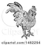 Poster, Art Print Of Rooster Chicken Black And White Woodcut Style