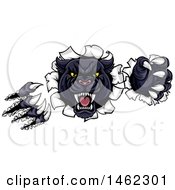 Poster, Art Print Of Vicious Roaring Black Panther Mascot Shredding Through A Wall