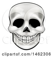 Poster, Art Print Of Human Skull