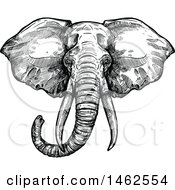 Clipart Of A Sketched Black And White Elephant Head Royalty Free Vector Illustration