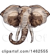 Clipart Of A Sketched Elephant Head Royalty Free Vector Illustration