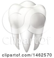 Clipart Of A Human Tooth Royalty Free Vector Illustration