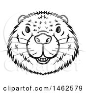 Clipart Of A Black And White Beaver Mascot Face Royalty Free Vector Illustration by Vector Tradition SM