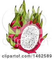 Sketched Dragonfruit