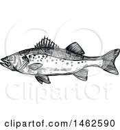 Poster, Art Print Of Sketched Black And White Fish