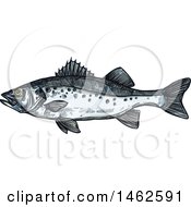 Poster, Art Print Of Sketched Fish