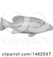 Poster, Art Print Of Grayscale Schoolmaster Snapper Fish In Drawing Sketch Style