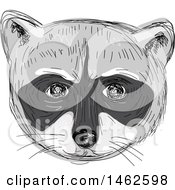 Grayscale Racoon Face In Drawing Sketch Style