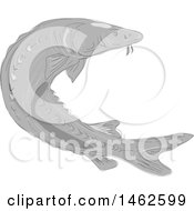 Grayscale Lake Sturgeon Fish In Drawing Sketch Style