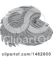 Poster, Art Print Of Grayscale Gelada Monkey Face In Profile In Drawing Sketch Style