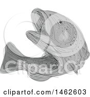 Poster, Art Print Of Grayscale Cutthroat Trout Fish In Drawing Sketch Style