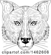 Poster, Art Print Of Black And White Fox Face In Drawing Sketch Style
