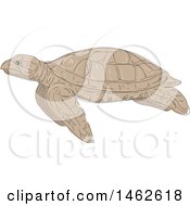 Poster, Art Print Of Swimming Hawksbill Sea Turtle In Profile In Drawing Sketch Style