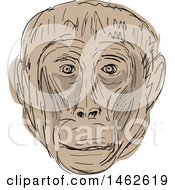 Poster, Art Print Of Tan Gelada Monkey Face In Drawing Sketch Style