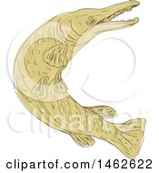 Poster, Art Print Of Swimming Alligator Gar Fish In Drawing Sketch Style