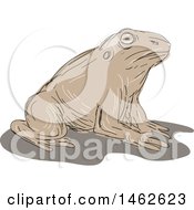 Poster, Art Print Of Resting Toad In Drawing Sketch Style