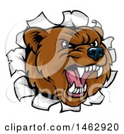 Clipart Of A Mad Grizzly Bear Mascot Head Breaking Through A Wall Royalty Free Vector Illustration