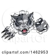 Clipart Of A Ferocious Gray Wolf Slashing Through A Wall Royalty Free Vector Illustration