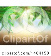 Clipart Of A 3d Border Of Palm Branches Against A Sunny Sky Royalty Free Illustration