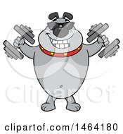 Clipart Of A Gray Bulldog Working Out With Dumbbells Royalty Free Vector Illustration