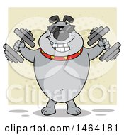 Clipart Of A Gray Bulldog Working Out With Dumbbells Over A Tan Square Royalty Free Vector Illustration
